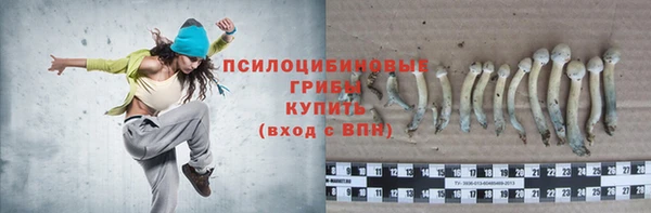 мяу мяу мука Нязепетровск