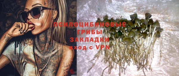дживик Нягань