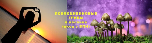 экстази Новодвинск